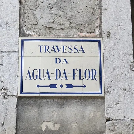 Apartment Nini Lisbon